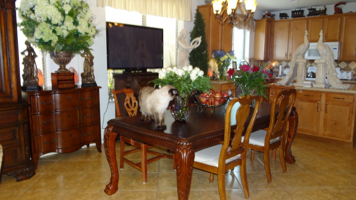 A cozy dining room with a cat on the table, surrounded by elegant furniture and floral decorations.