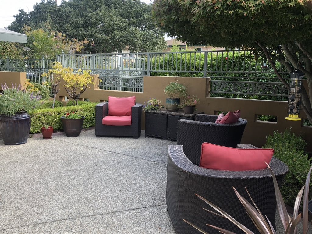 A tranquil garden patio featuring comfortable seating with red cushions surrounded by lush greenery and potted plants.