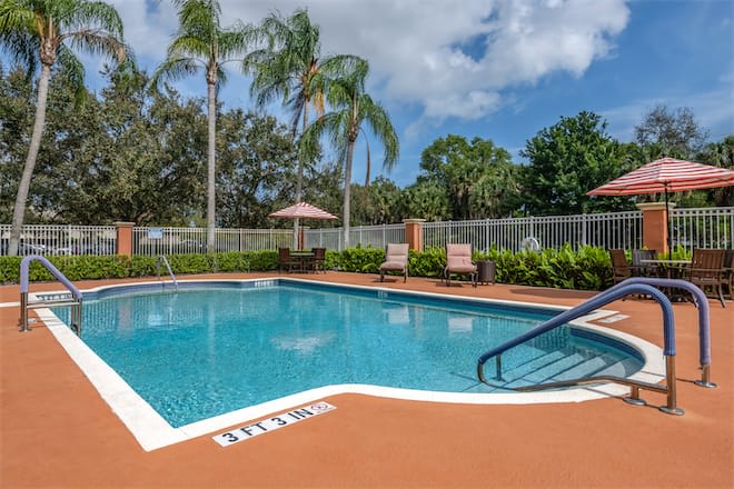 A sunny outdoor swimming pool surrounded by palm trees and lounge chairs.