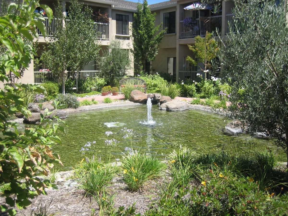 A serene garden with a small pond and fountain surrounded by lush greenery in an apartment complex.
