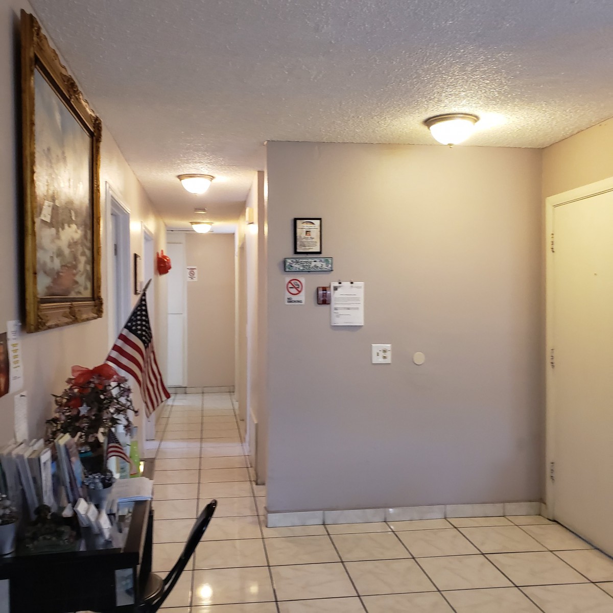 A tiled hallway featuring a decorative painting, an American flag, and overhead lighting.