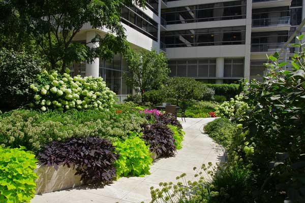 A lush garden with a winding pathway next to a modern building.