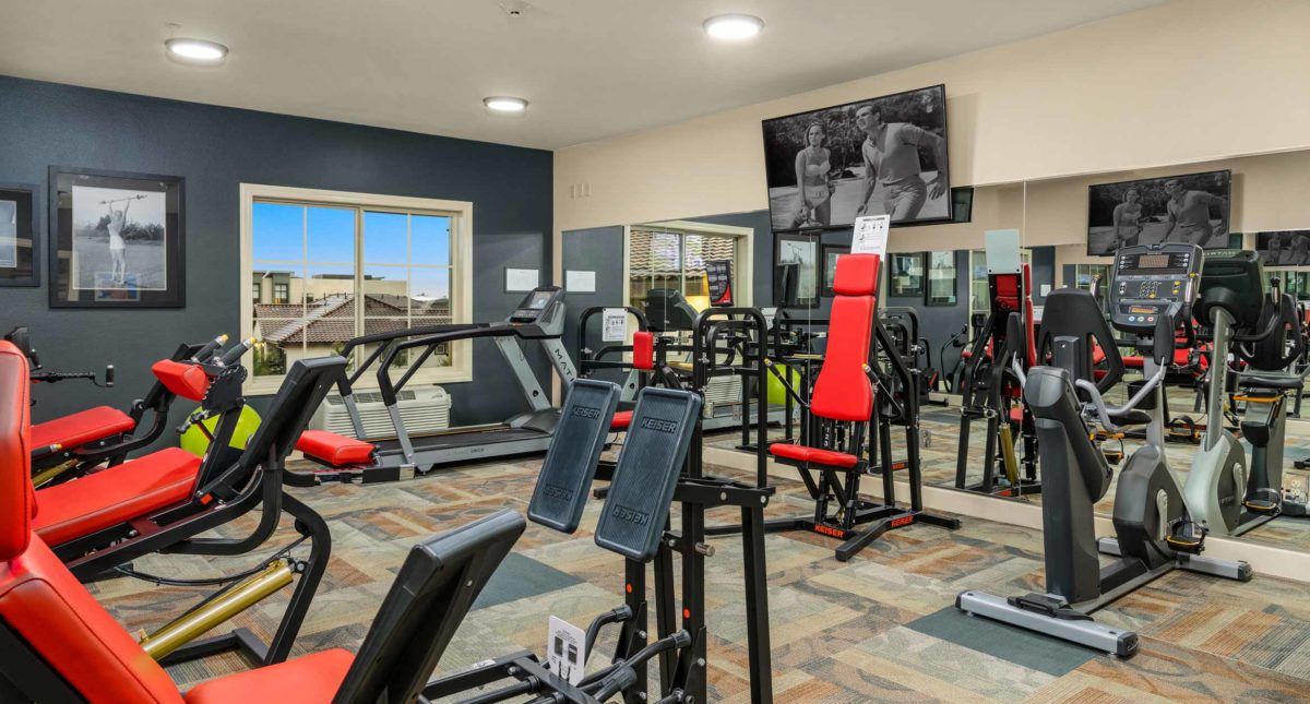 A modern gym equipped with various exercise machines and fitness equipment.