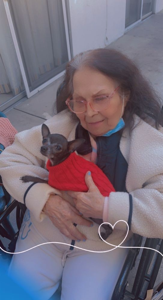 A woman holding a chihuahua dressed in a red sweater outdoors.