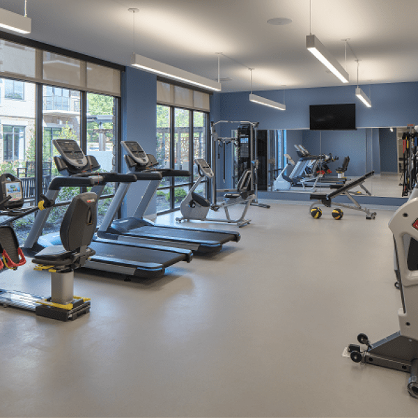 A modern gym with various exercise equipment including treadmills and stationary bikes.