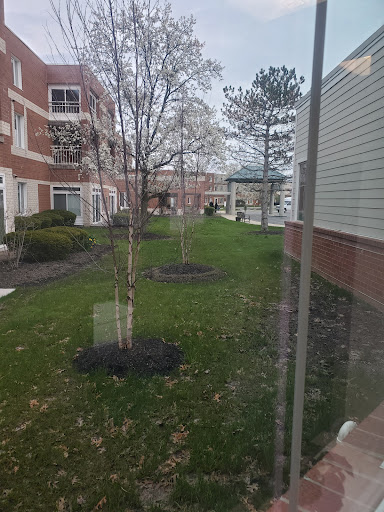 A view of a landscaped area within an apartment complex featuring trees and a grassy lawn.