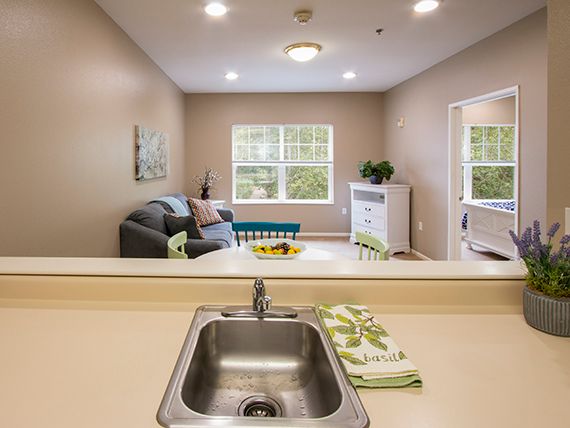 A modern living space view from the kitchen sink, featuring comfortable furnishings and a large window.