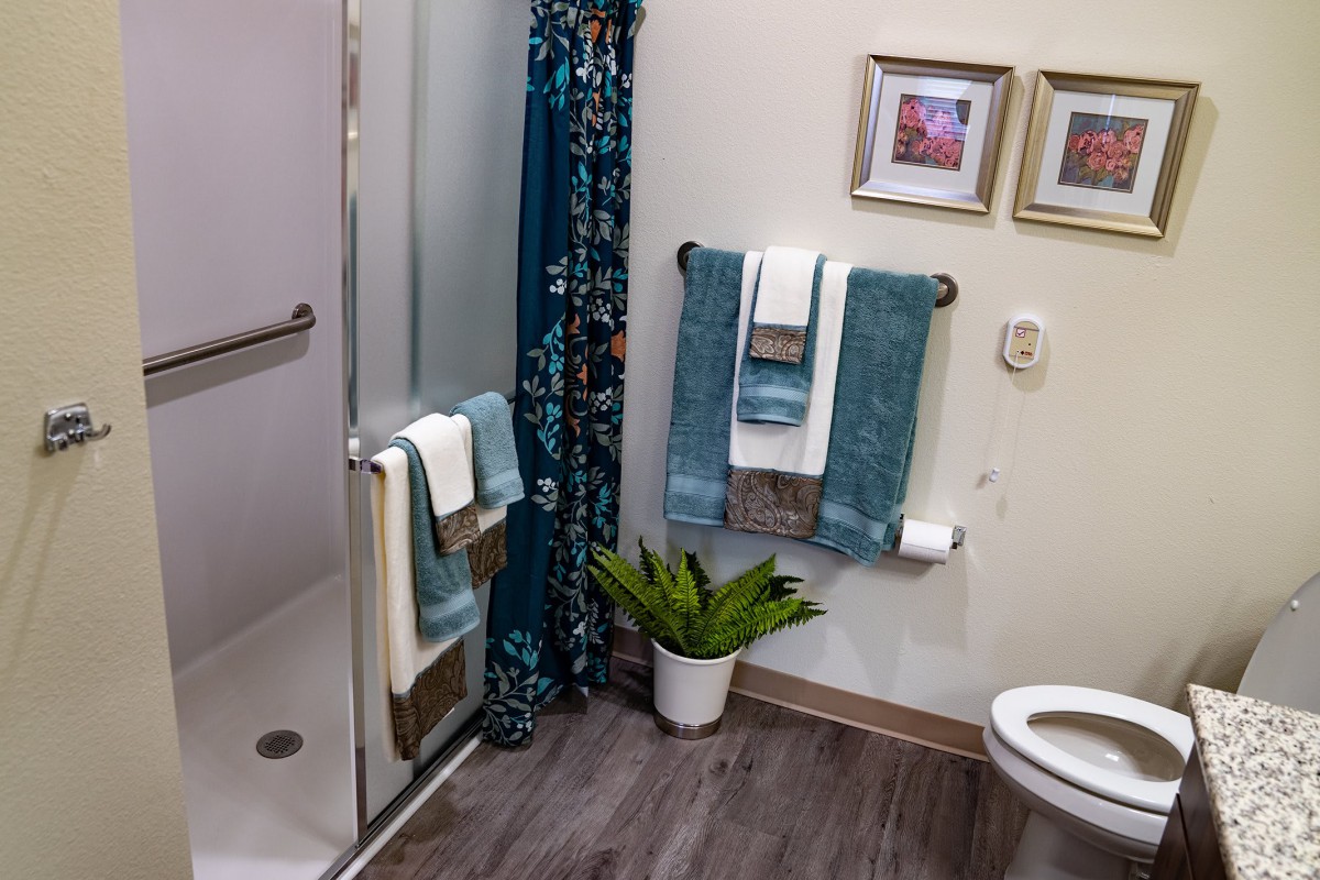 A well-decorated bathroom featuring a shower, neatly arranged towels, framed artwork, and a potted plant.
