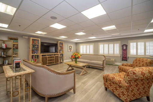 A cozy and well-lit living room featuring comfortable seating, decorative shelves, and a touch of nature with flowers.