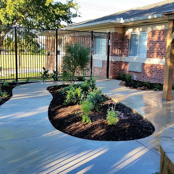 A beautifully designed garden patio with a curved walkway and newly planted greenery.