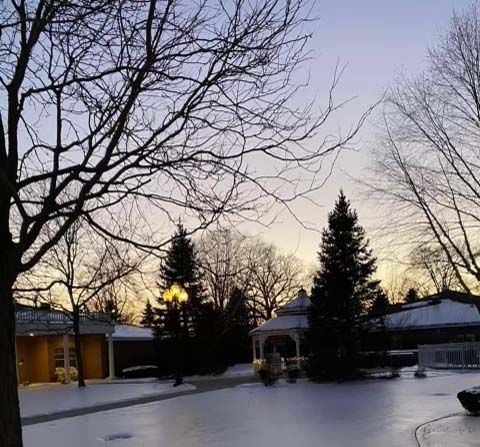 A tranquil winter scene at dusk with snow-covered grounds and silhouetted trees.