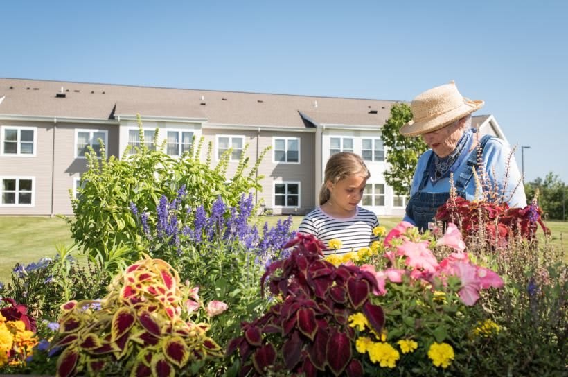 A young girl and an elderly person enjoying gardening together on a sunny day.