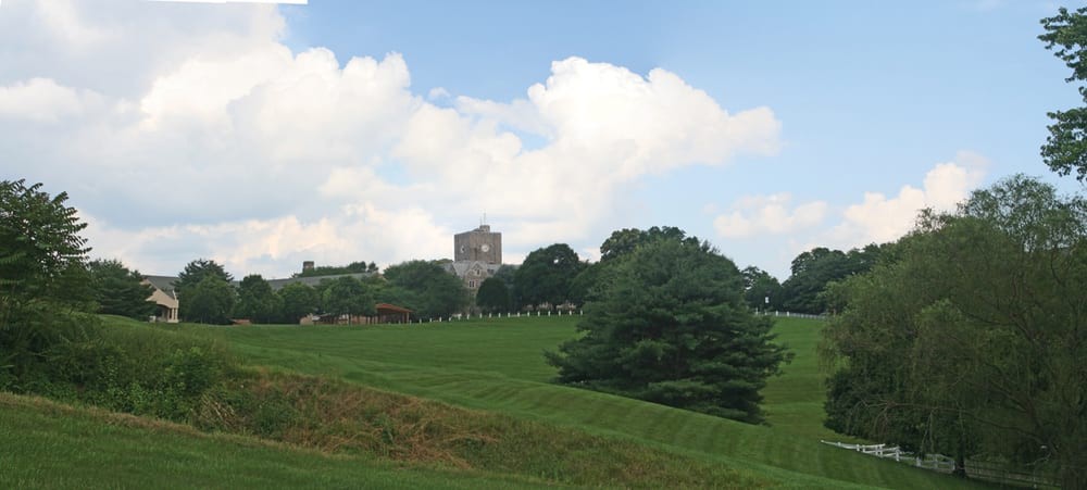 A scenic view of a hill with trees and a distant building under a cloudy sky.