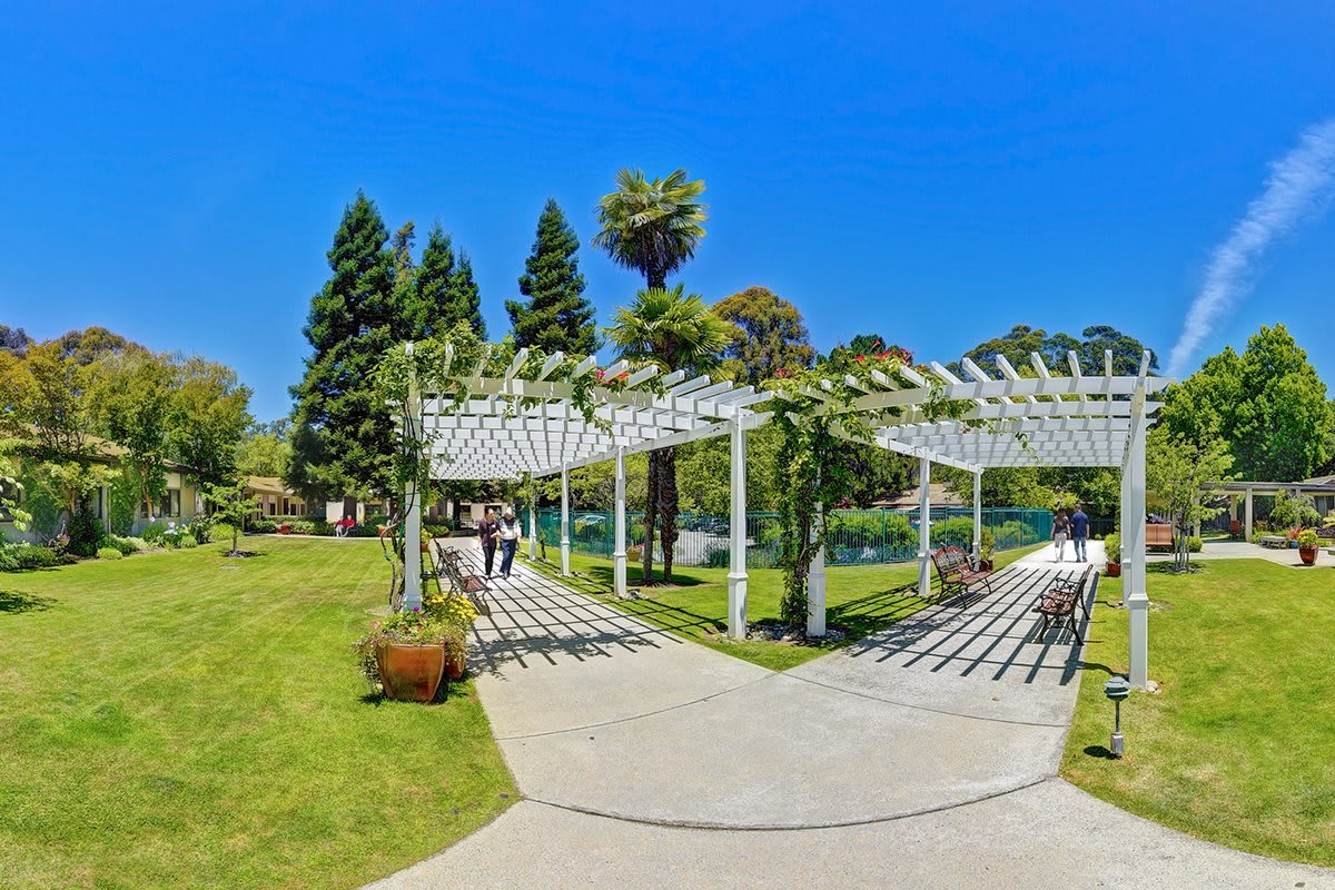 A sunny day in a park featuring a white pergola and lush greenery.