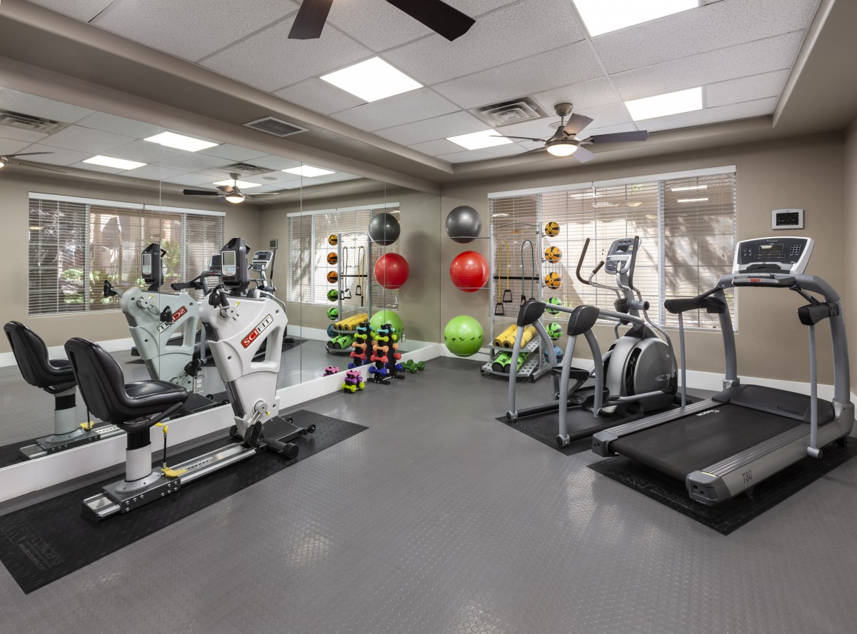 A well-equipped gym with treadmills, weight machines, stability balls, and a rack of dumbbells.