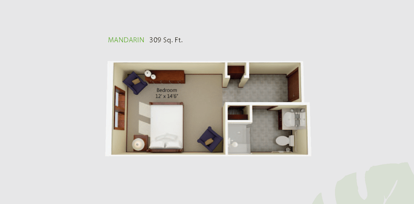 A 169 sq. ft. studio apartment floor plan with a bedroom and bathroom layout.
