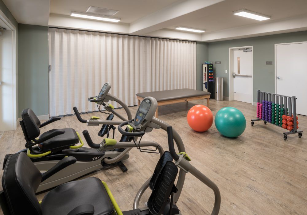 A modern gym room with treadmills and exercise balls.