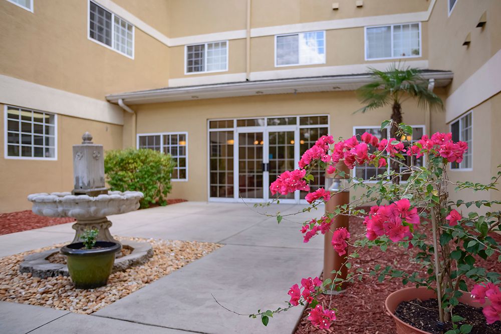 A charming courtyard with a fountain and vibrant bougainvillea flowers.