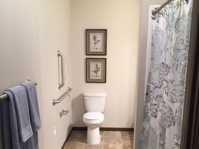 A bathroom featuring a toilet, shower curtain, and framed wall art.
