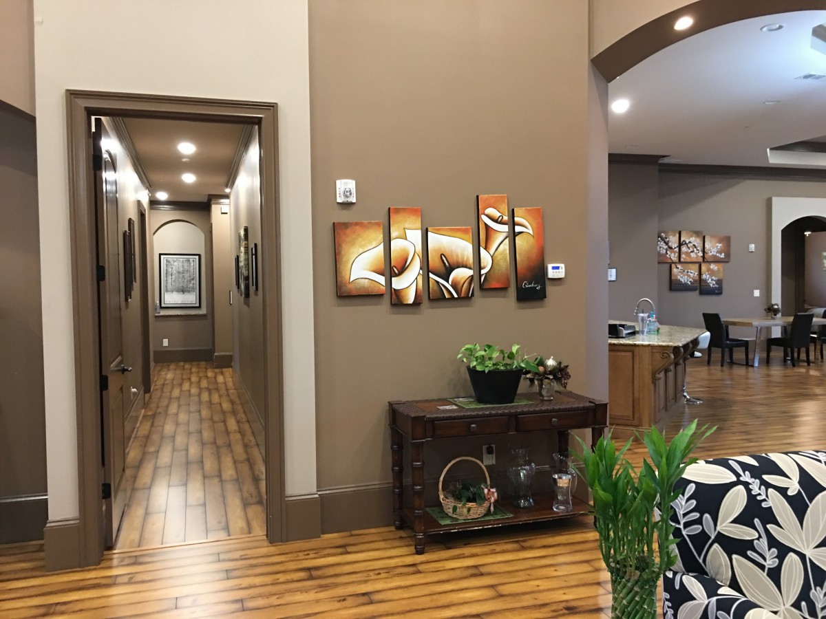 A cozy interior hallway with artwork and indoor plants enhancing the decor.