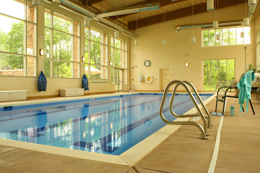 A serene indoor swimming pool surrounded by large windows, allowing natural light to filter in.