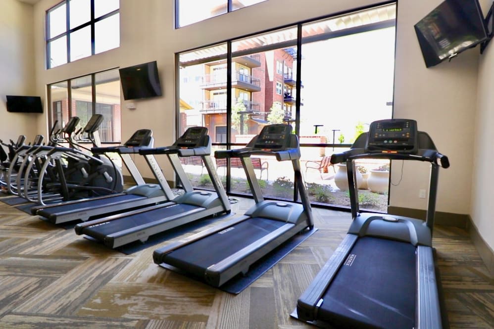 A bright gym featuring a row of treadmills facing large windows.
