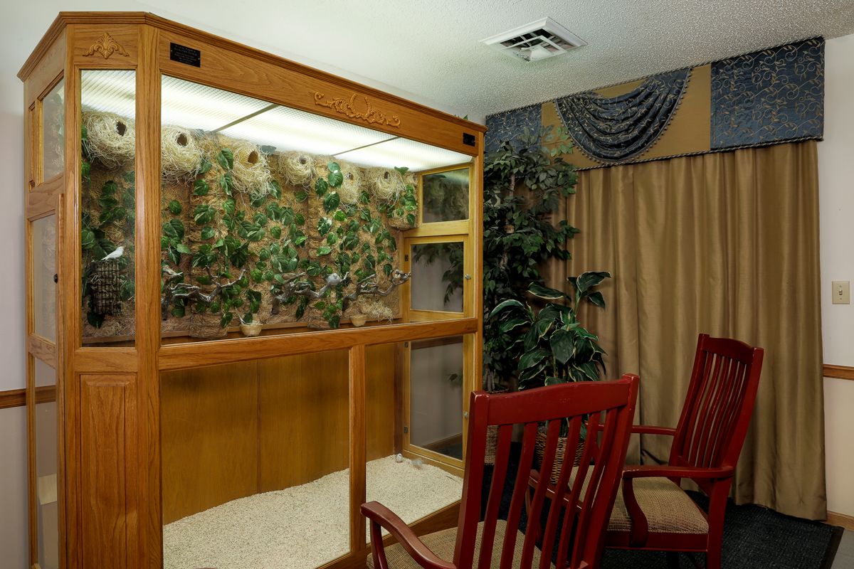 A room with wooden chairs and an indoor aquarium surrounded by plants.