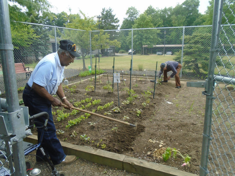 Two people tending to a community garden, working on planting and maintaining crops outdoors.