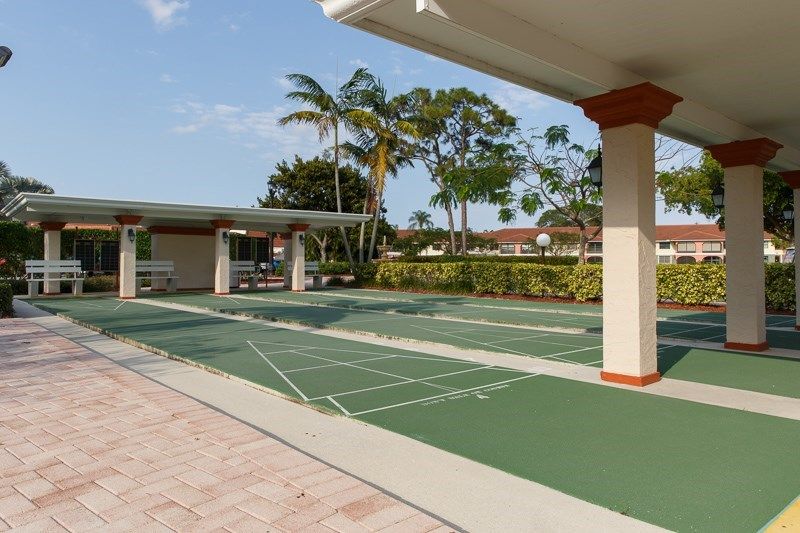 An outdoor sports court surrounded by palm trees on a sunny day.