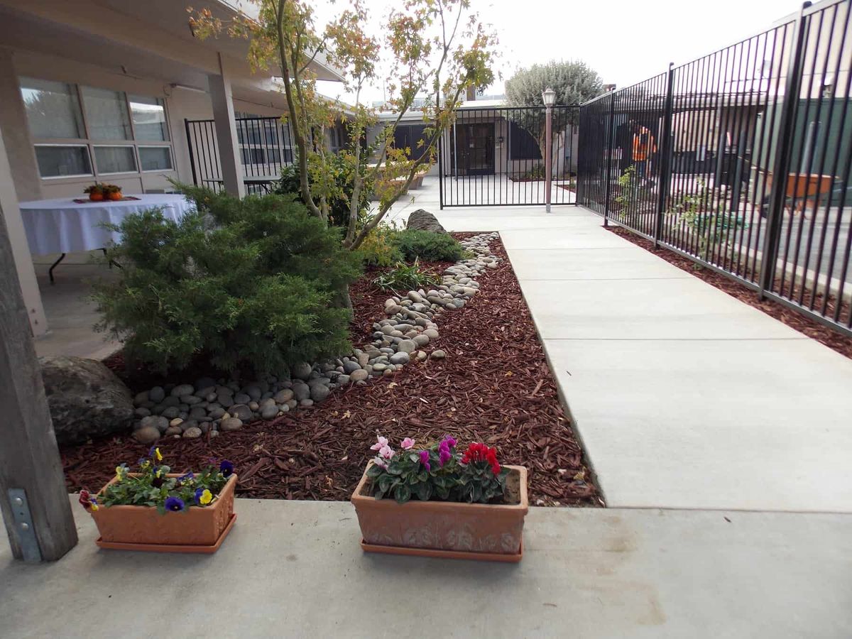 A landscaped garden area with a pathway and planters.