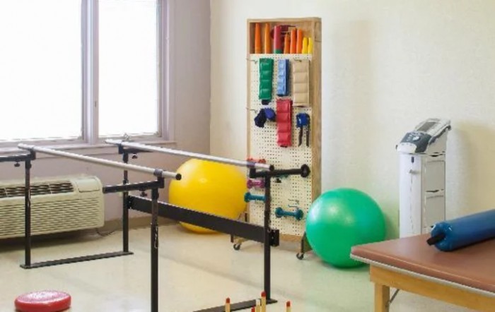 Countryside Center For Rehabilitation And Nursing