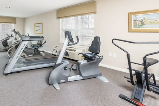 A well-equipped gym featuring various exercise equipment for cardio workouts.