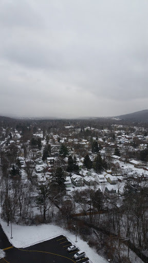 A serene winter landscape showcasing a town blanketed in snow under an overcast sky.