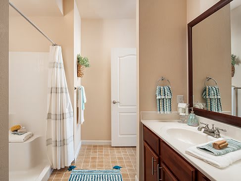 A well-organized bathroom featuring a double sink, large mirror, and a shower area with a striped curtain.