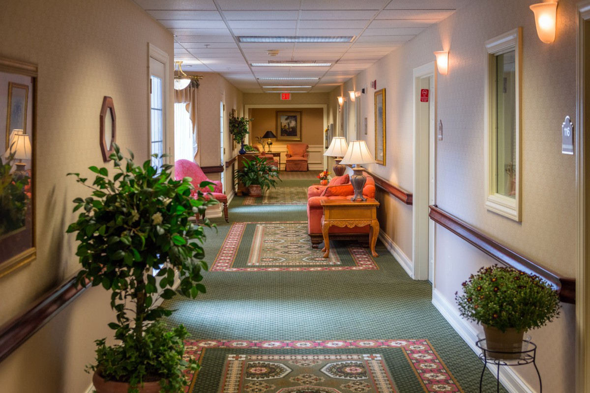 A brightly lit hallway adorned with plants, carpet, and lamps on side tables.