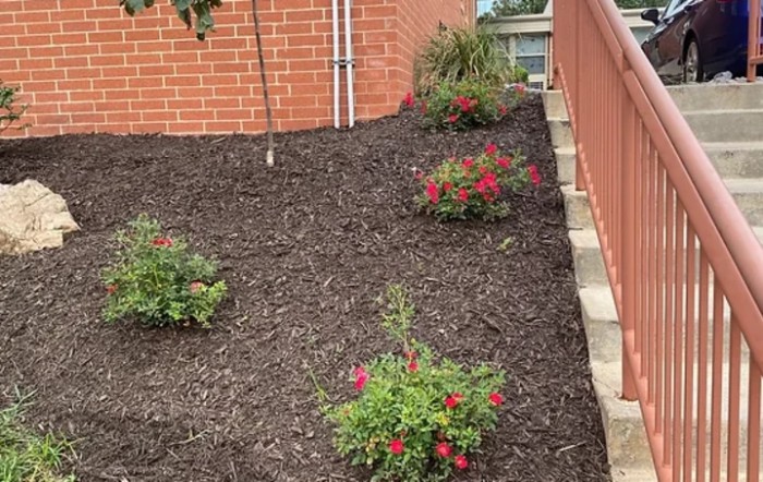 A neatly landscaped garden with red flowers and fresh mulch next to a brick wall.