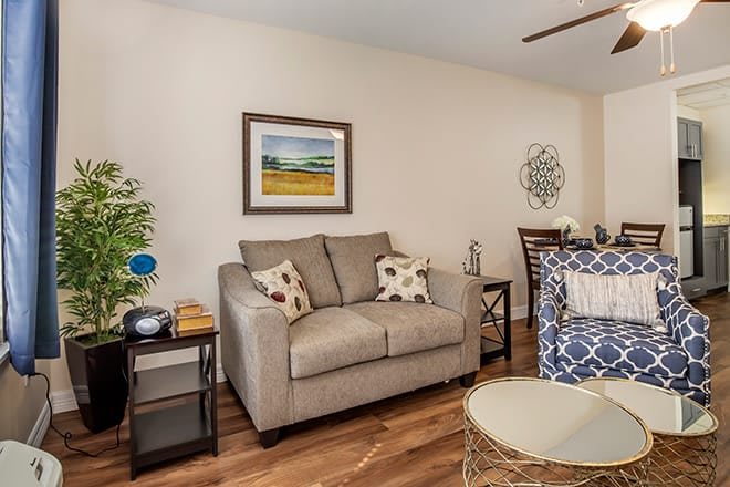 A cozy living room with a sofa, cushions, and artwork on the wall.