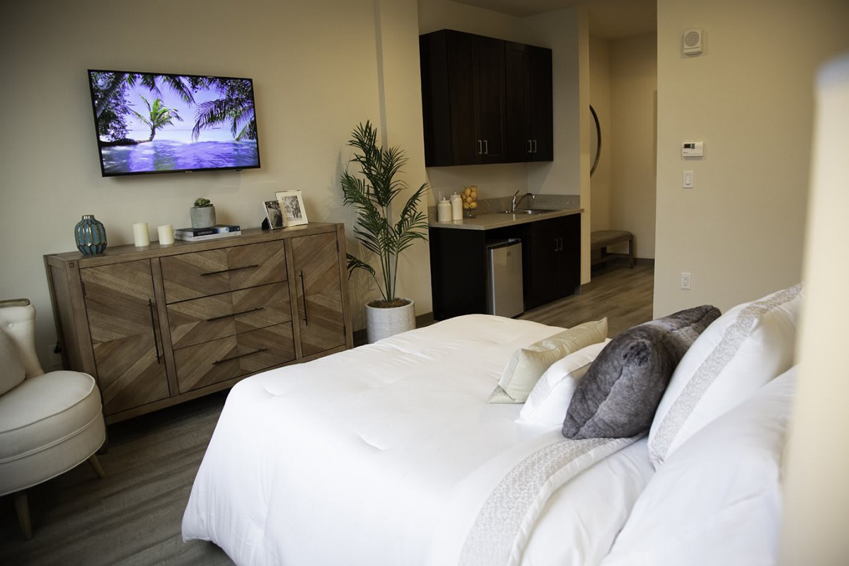 A modern and minimalist bedroom featuring a comfortable bed, wall-mounted TV, wooden dresser, and a decorative plant.