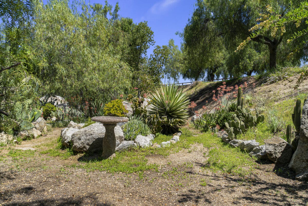 A serene garden with lush greenery, featuring various plants and trees under a clear blue sky.