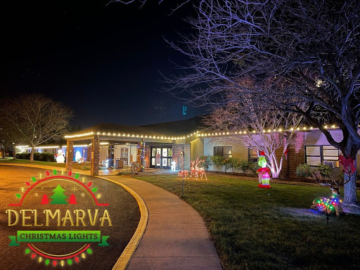 A beautifully decorated building illuminated with festive lights during the holiday season.