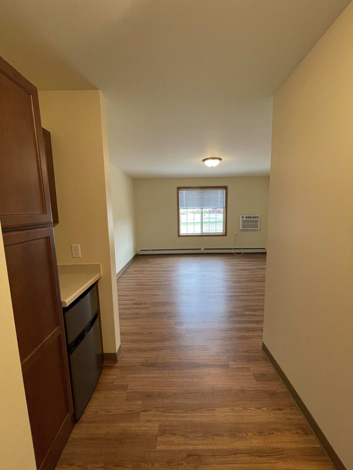 Empty apartment hallway leading to a living area with wood flooring and a window.