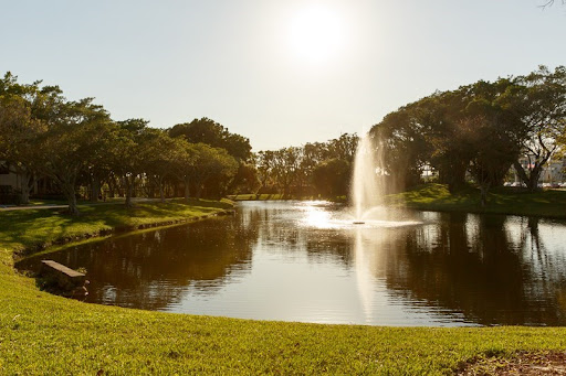 A serene park scene featuring a tranquil lake with a fountain, basking in the warm glow of sunlight.