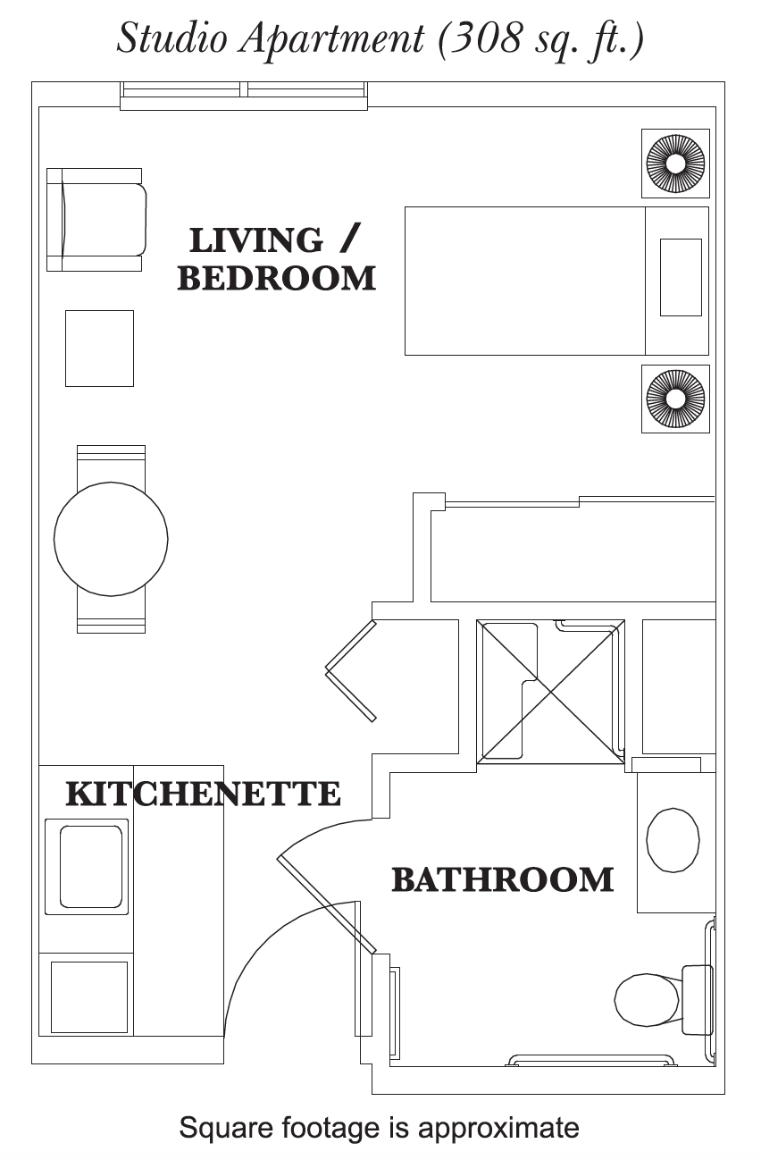 Floor plan of a compact studio apartment with labeled living/bedroom, kitchenette, and bathroom areas.