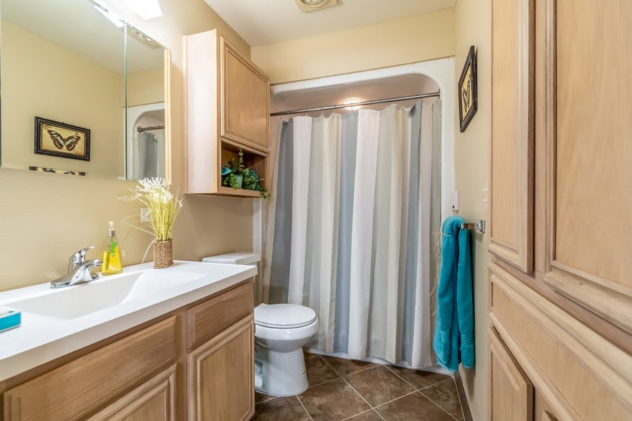 A tidy bathroom featuring a shower curtain, toilet, sink with mirror, and wooden cabinetry.