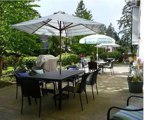 A serene outdoor patio with tables, chairs, and umbrellas set amidst a garden backdrop.