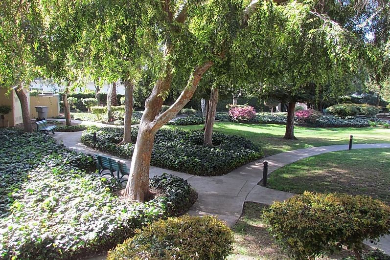 A tranquil garden with lush greenery and winding pathways.