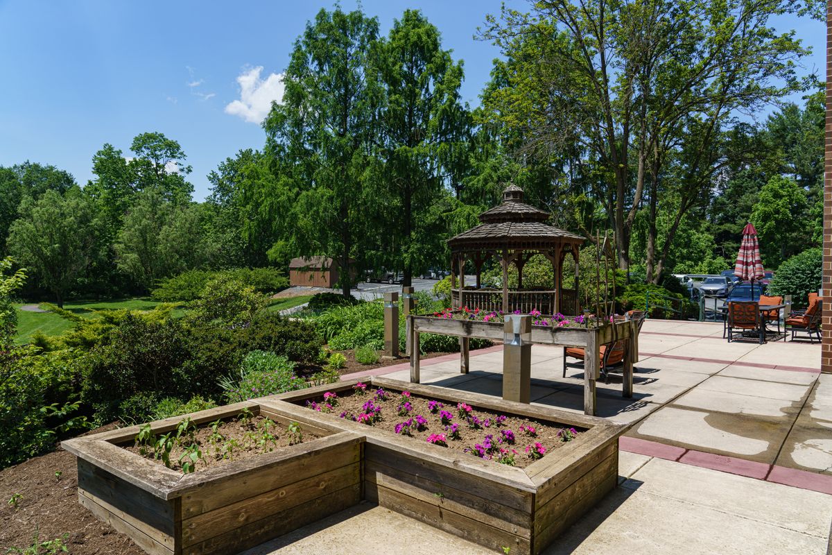 A sunny garden scene featuring planters with flowers and a wooden gazebo surrounded by lush greenery.