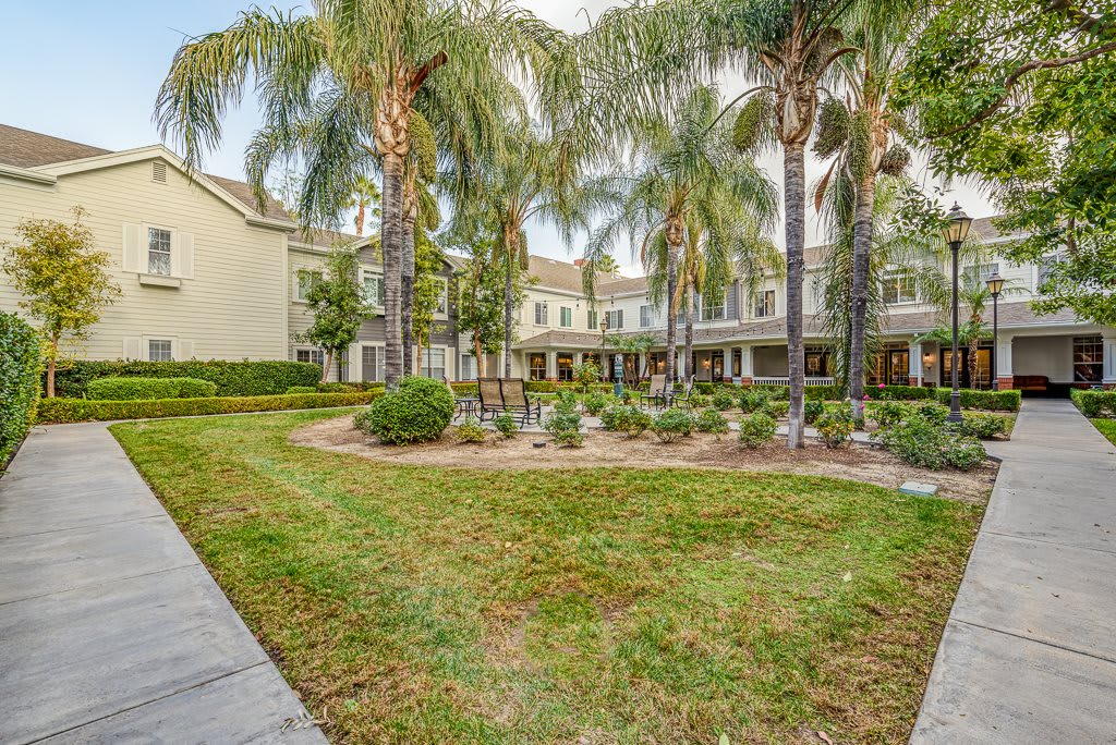 A beautifully landscaped garden with palm trees, a pathway, and a building in the background.