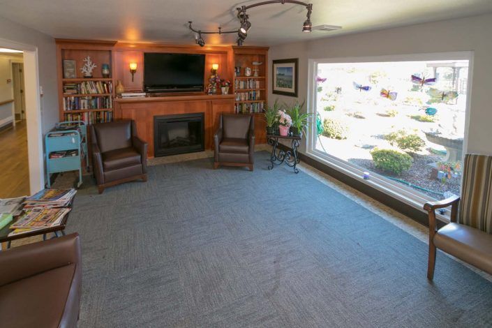 A cozy living room featuring a fireplace and television, with bookshelves and armchairs alongside a large window.