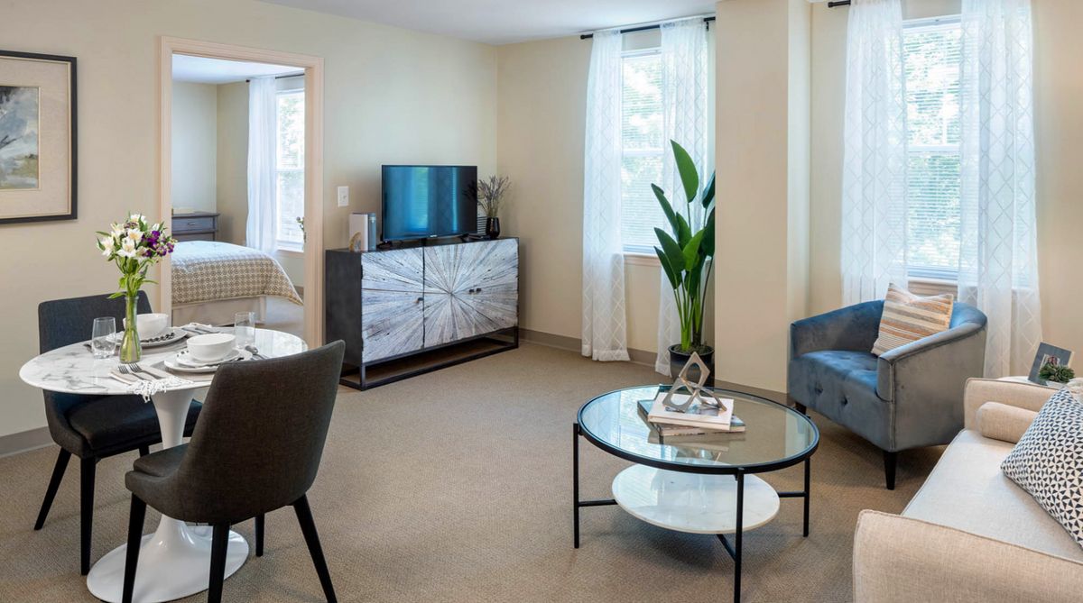 A cozy living room with a modern design featuring a TV, coffee table, and indoor plant.
